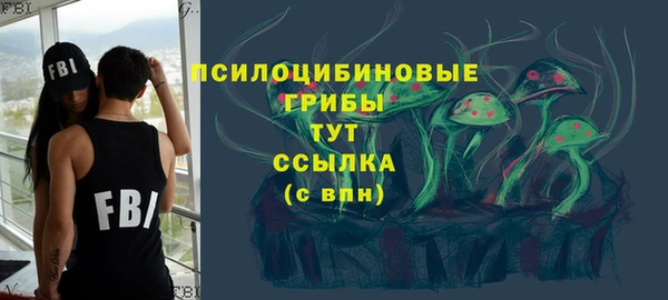 гашиш Богородицк