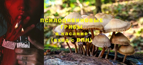 PSILOCYBIN Богородицк