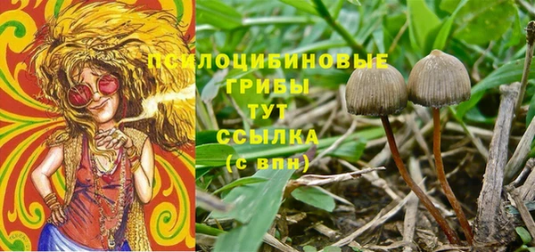 PSILOCYBIN Богородицк