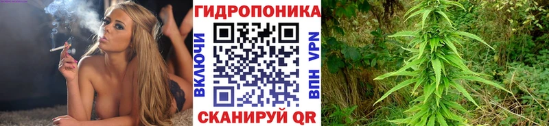 как найти наркотики  Волчанск  Бошки марихуана индика 